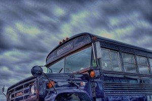 116573192_3213ecd3e0_b